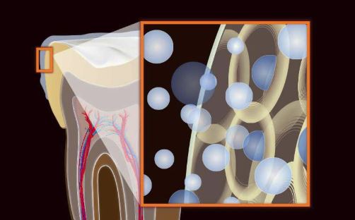 Opalescence fogfehéritő rendszer működése.